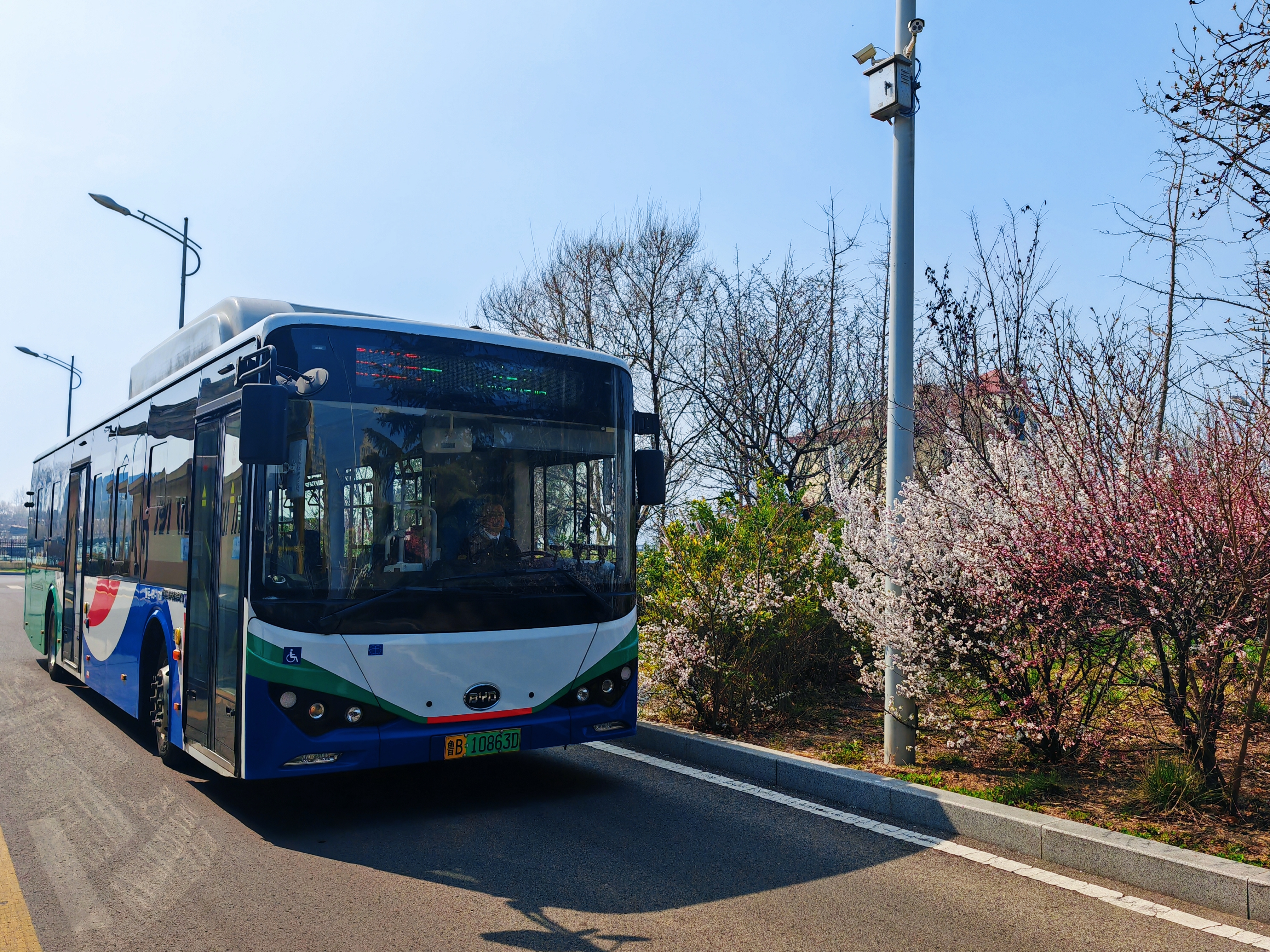 乘温馨巴士去踏青 (2).jpg