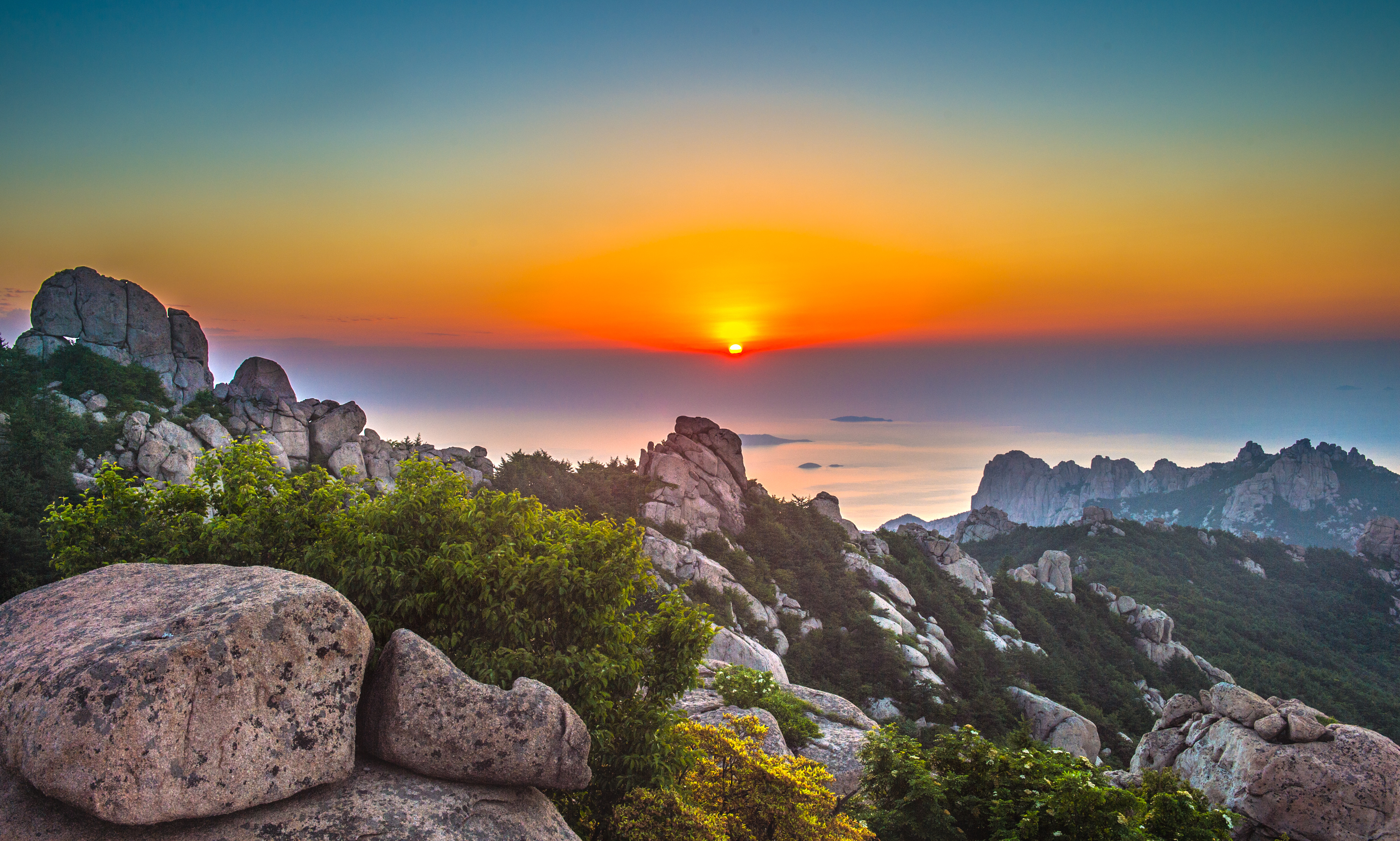 "奋进四十年 光影映崂山"摄影大赛正式启动