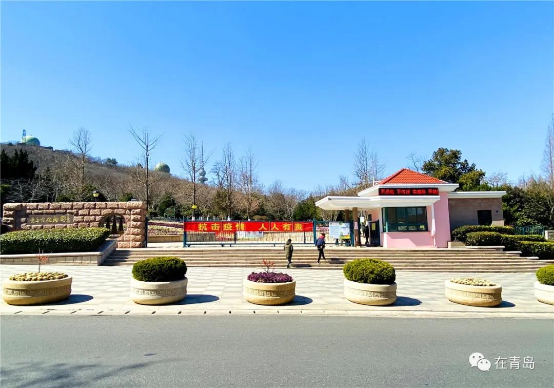 实拍青岛植物园!这季节简直美翻到极点!